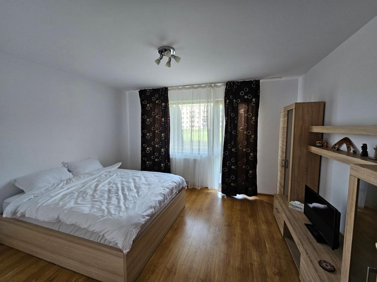 Elena'S Studio Brasov Coresi Exterior foto